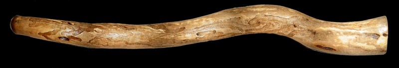 Copie de Sans titre XX3.jpg