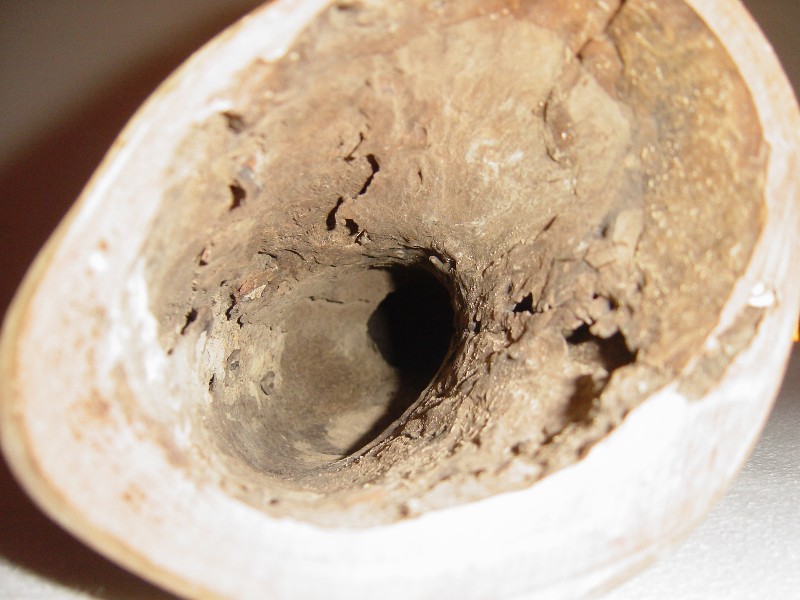 DIDJAMAN YELLOW BOX + 70 ANS