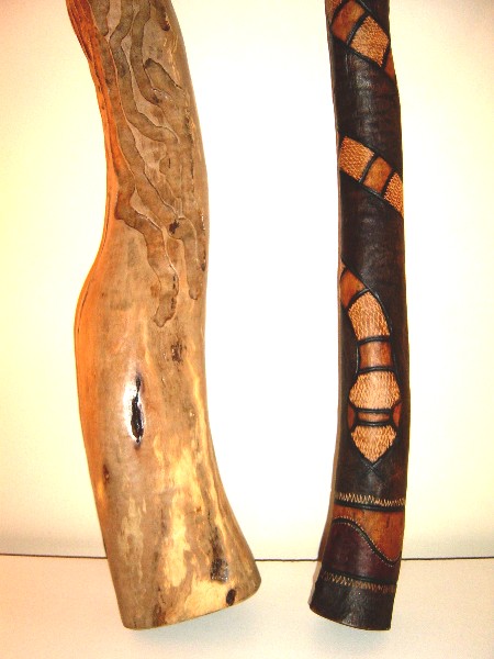 YELLOW BOX - TIGER SNAKE 2.jpg