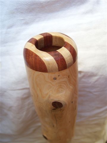 cypres embouchure.jpg