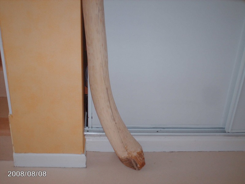 IMAG0663.JPG
