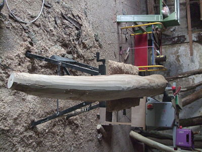 avec un aussi gros potentiel,se serait presque honteux de ne pas y ajouter quelques sculptures farfelluuuuuxxxx