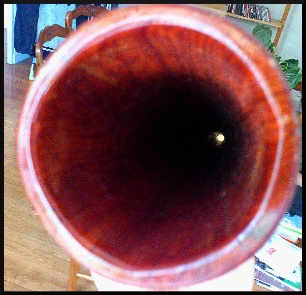 Alex Mi Kevazingo 3.JPG