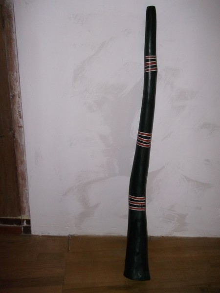 Photo 051 (Copier).jpg