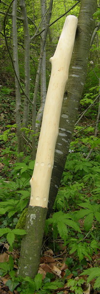 Eärendil 2.600.jpg