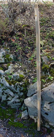 DSC00296_redimensionner.jpg