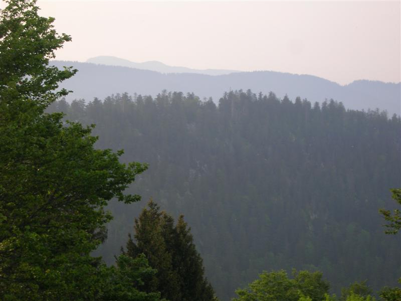 DSCN6213 (Moyenne).JPG