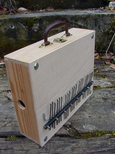 Kalimba 1.JPG