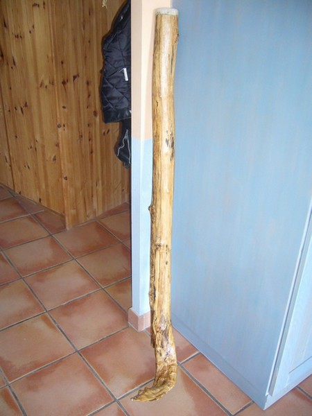 P1000850.JPG