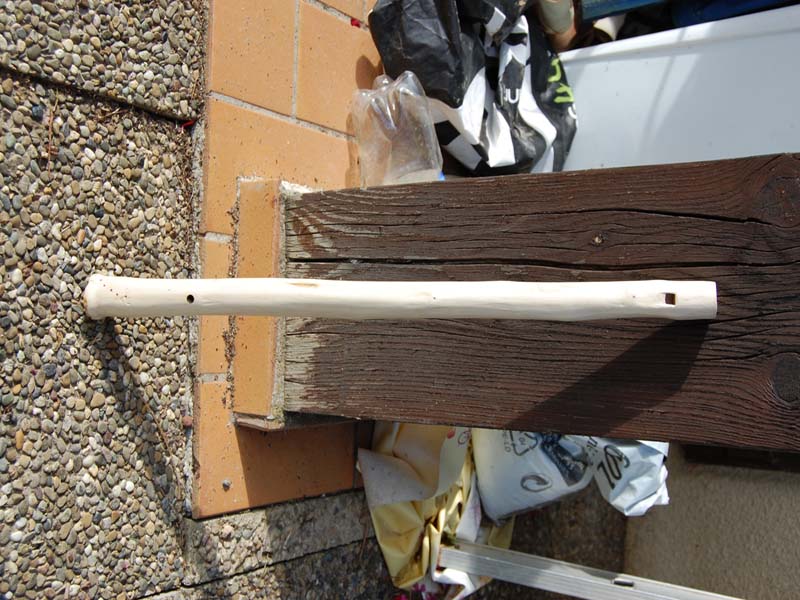 Flûte noisetier, vue générale