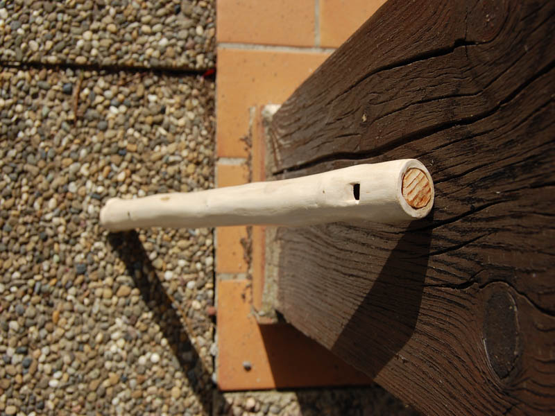 Flûte noisetier, vue du dessus