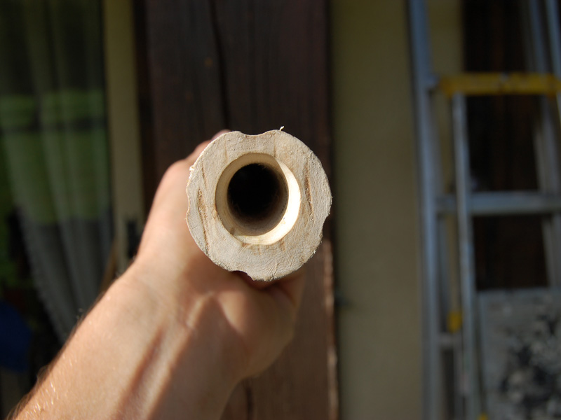 Flûte noisetier, vue de la cloche