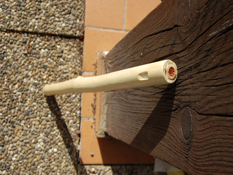 Flûte sureau, vue du dessus