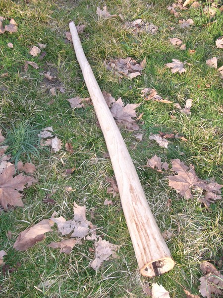 les feuilles mortes.jpg