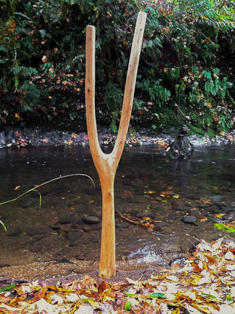 fourche en érable.jpg