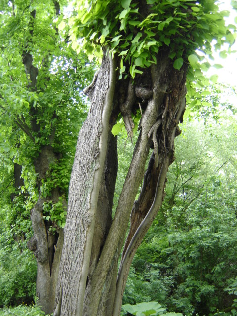 DSC02334.JPG