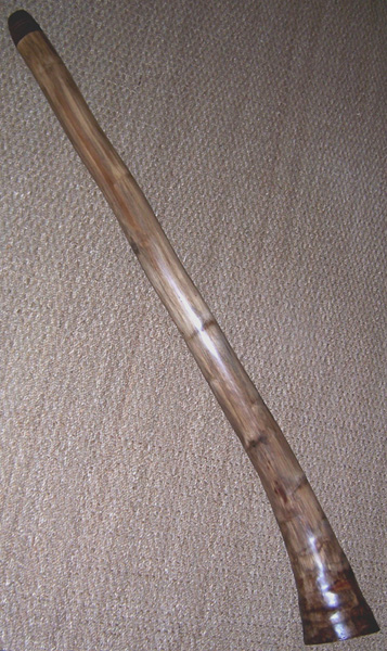 Le didge &amp;quot;en pieds&amp;quot;