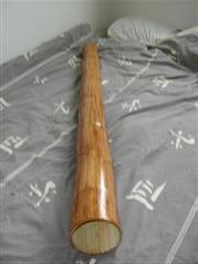 Photo 012 (WinCE).jpg