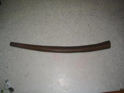 Le premier chataigner