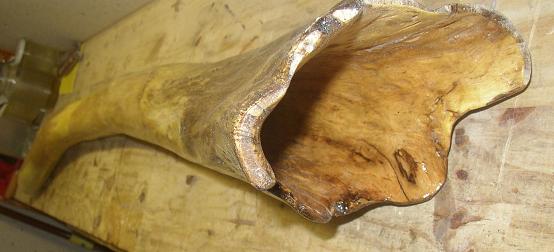 La cloche de l'accacia